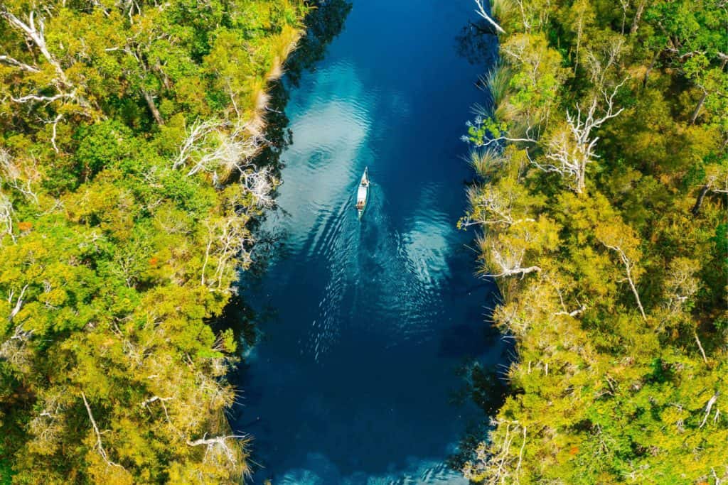 Noosa Everglades Eco Safaris