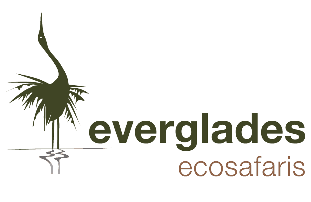 Everglades Eco Safaris Logo